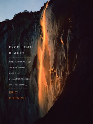 cover image of Excellent Beauty